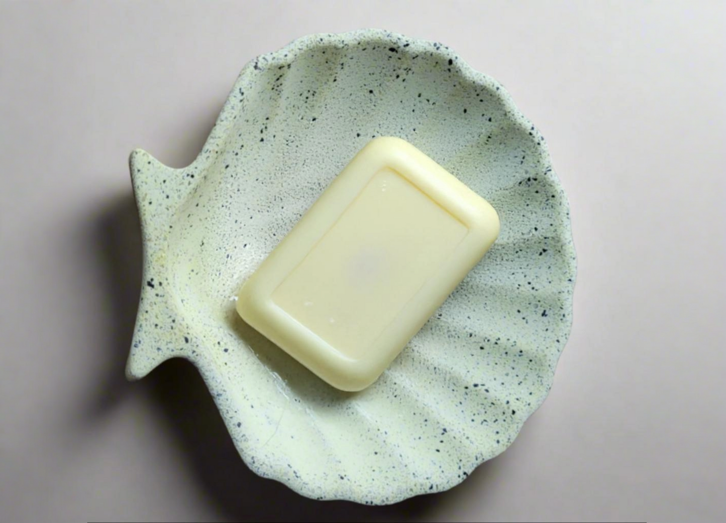 Shell soap Dish